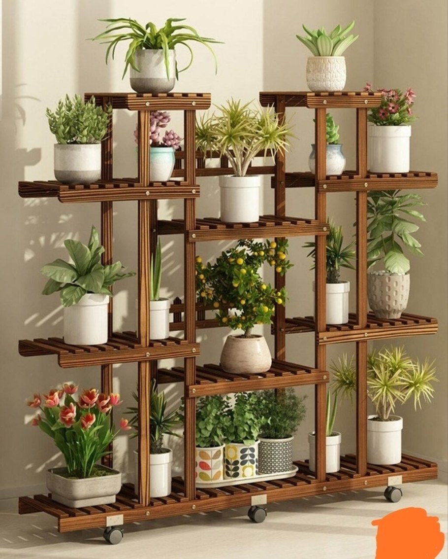 Стеллажи для комнатных цветов