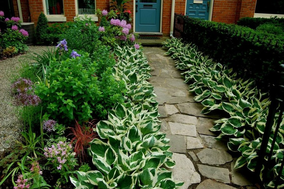 Рабатка бордюр миксбордер