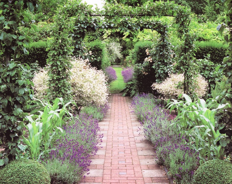 Клумбы рабатки бордюры миксбордеры