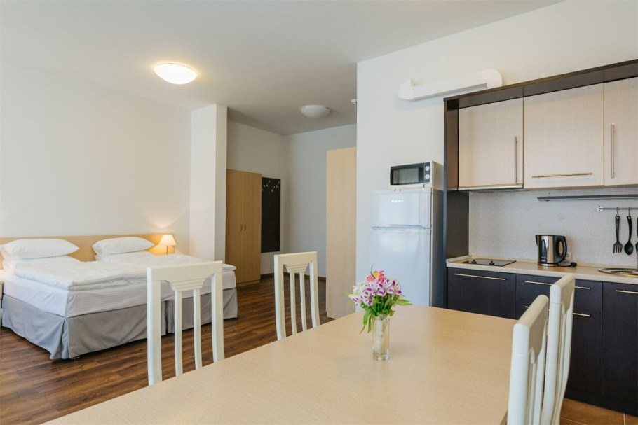 Интерьер гостиничного номера с кухней