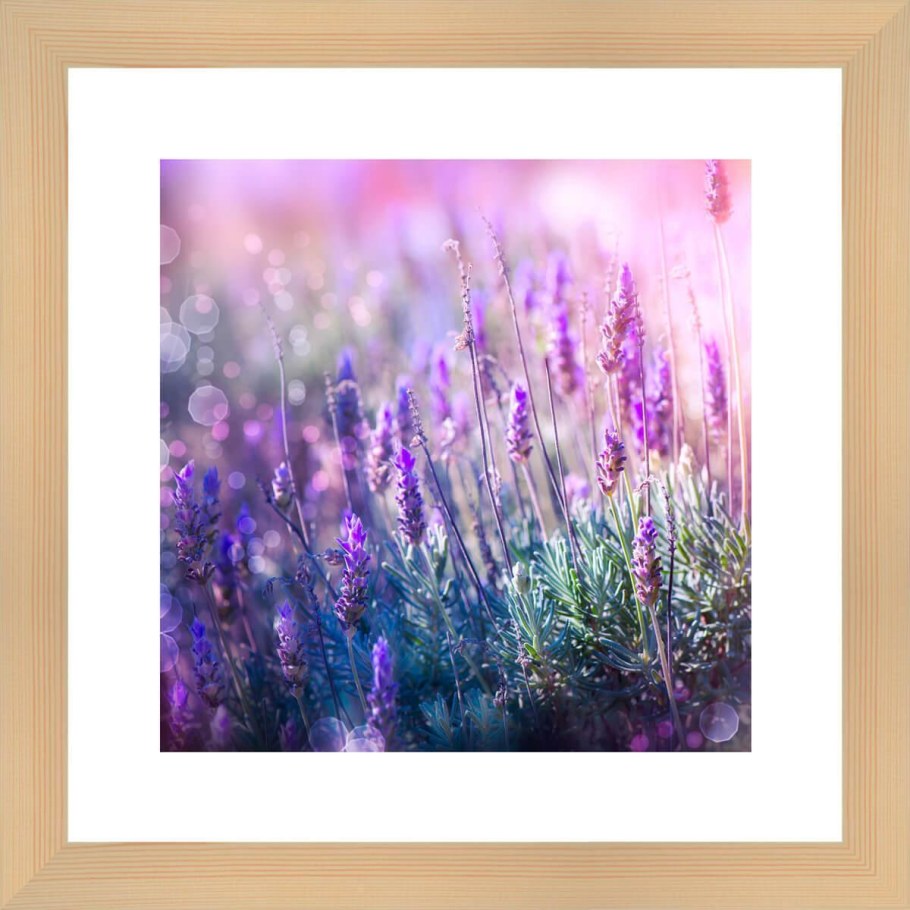 Цветы лаванды в интерьере