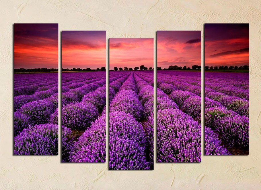 Лавандовое поле в интерьере