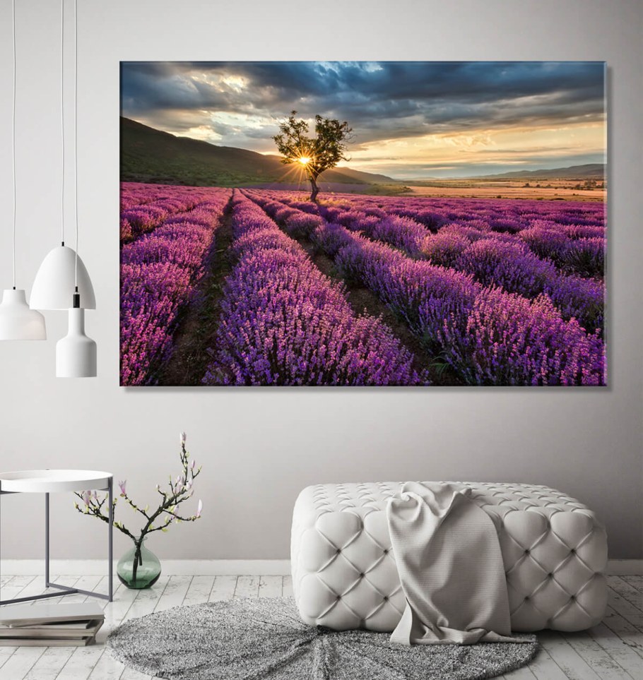 Лаванда живопись