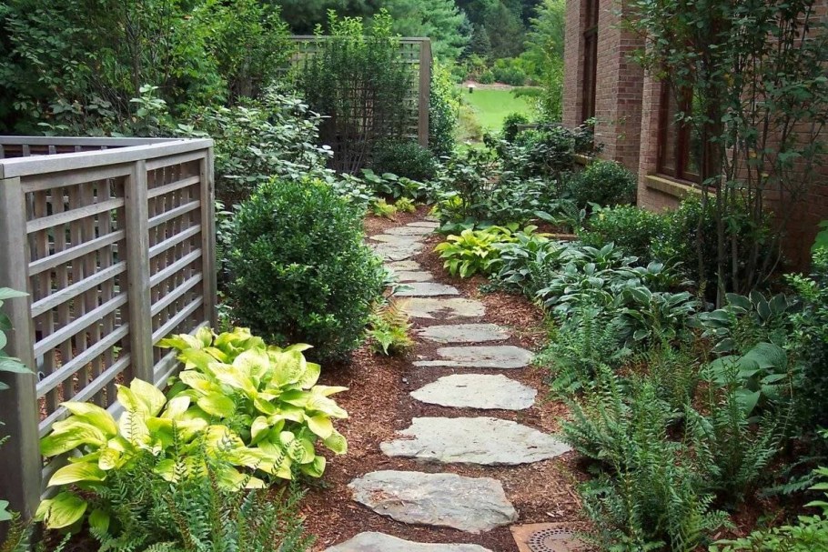 Туя розмарин миксбордер