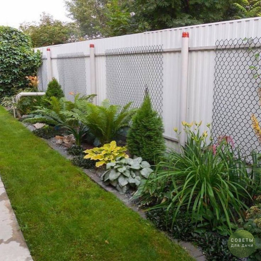 Тенистый сад дизайн