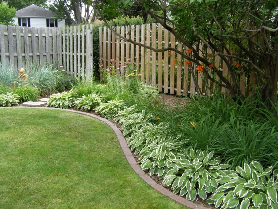 Теневой миксбордер вдоль забора