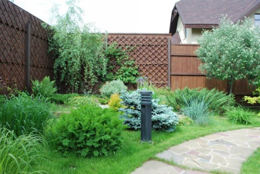 Клумба с папоротником и хостой