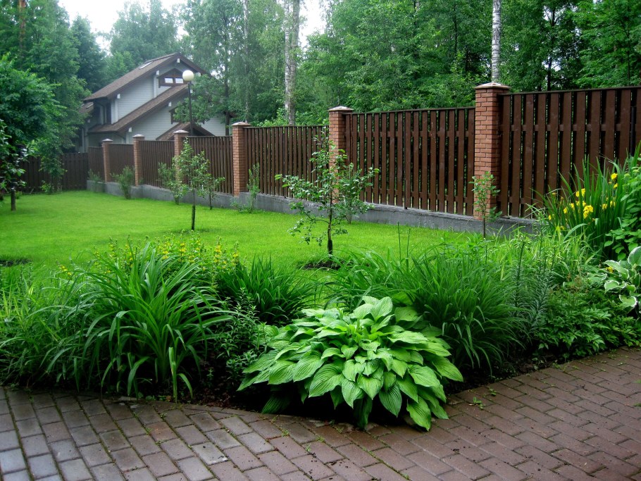 Цветник возле забора