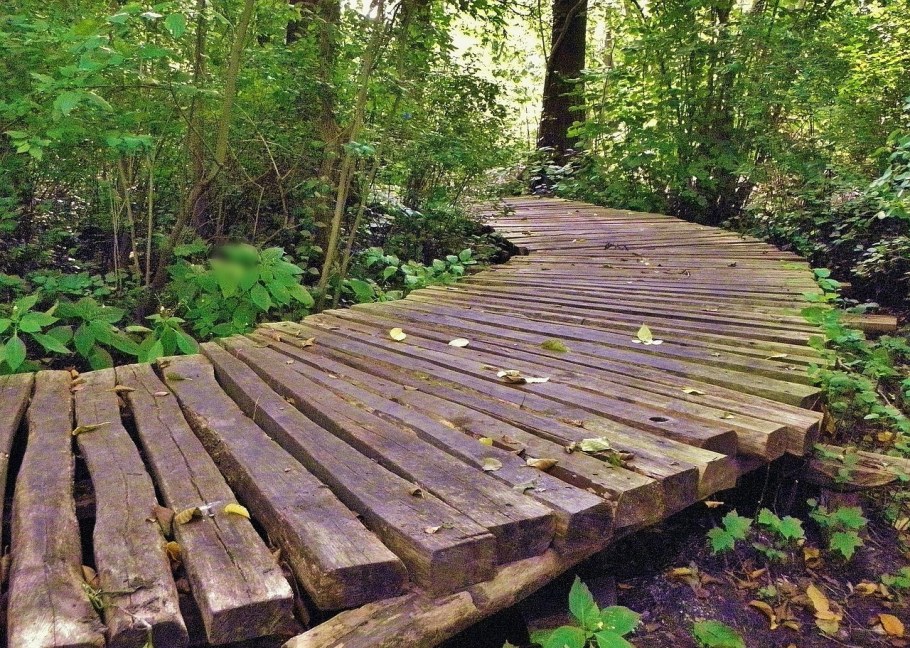 Парк Коломенское декинг дорожка