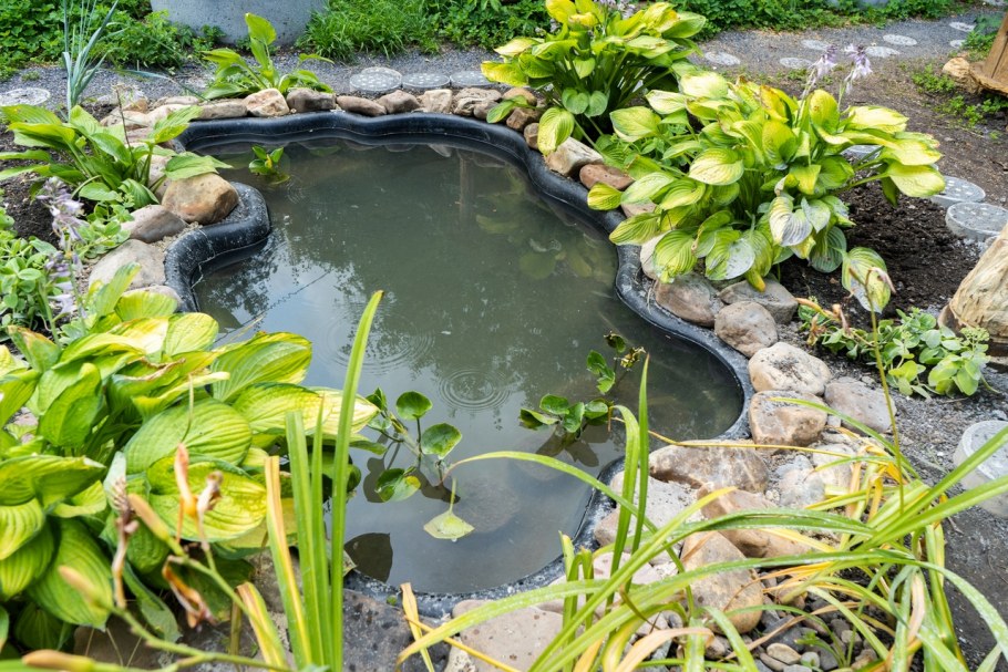 Пластиковые формы для водоема