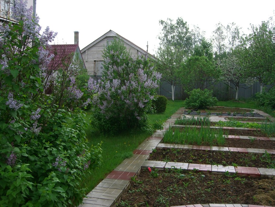 Ландшафт участка