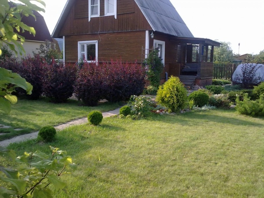 Красивые и ухоженные садовые участки