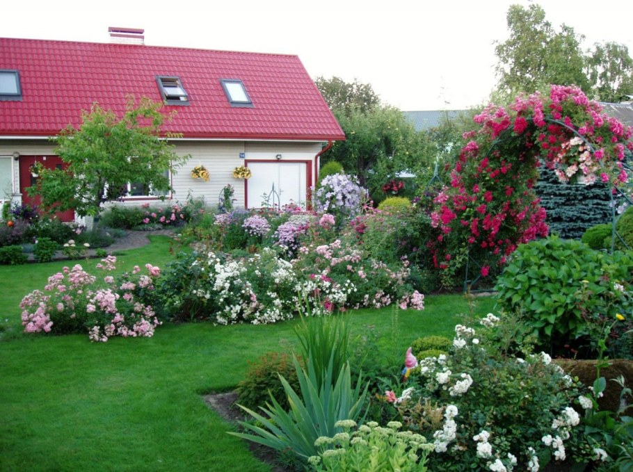 Дачный участок летом