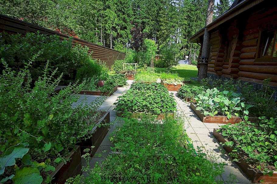 Обустройство дачного участка