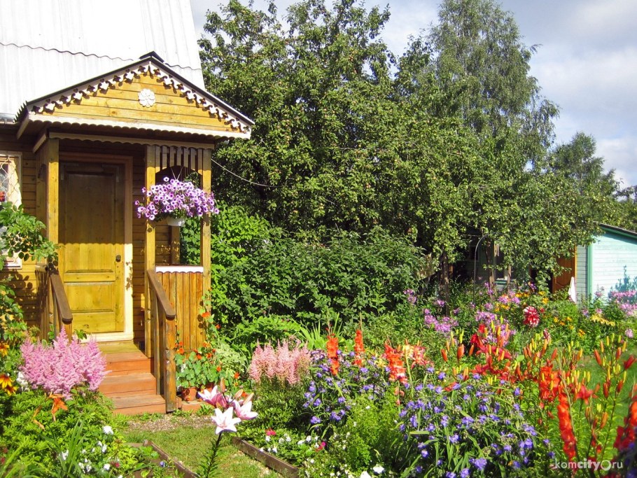 Обустройство двора в деревне