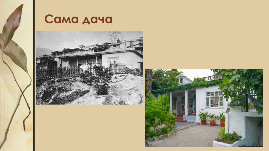 Дача а.п. Чехова и о.л. Книппер в Гурзуфе