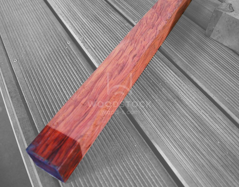 Зирикот дерево