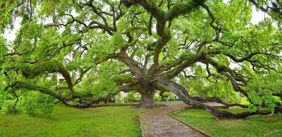 Экоснайпер LS-927m