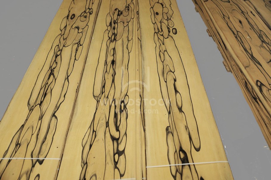 Браун Вуд (Brown Wood)