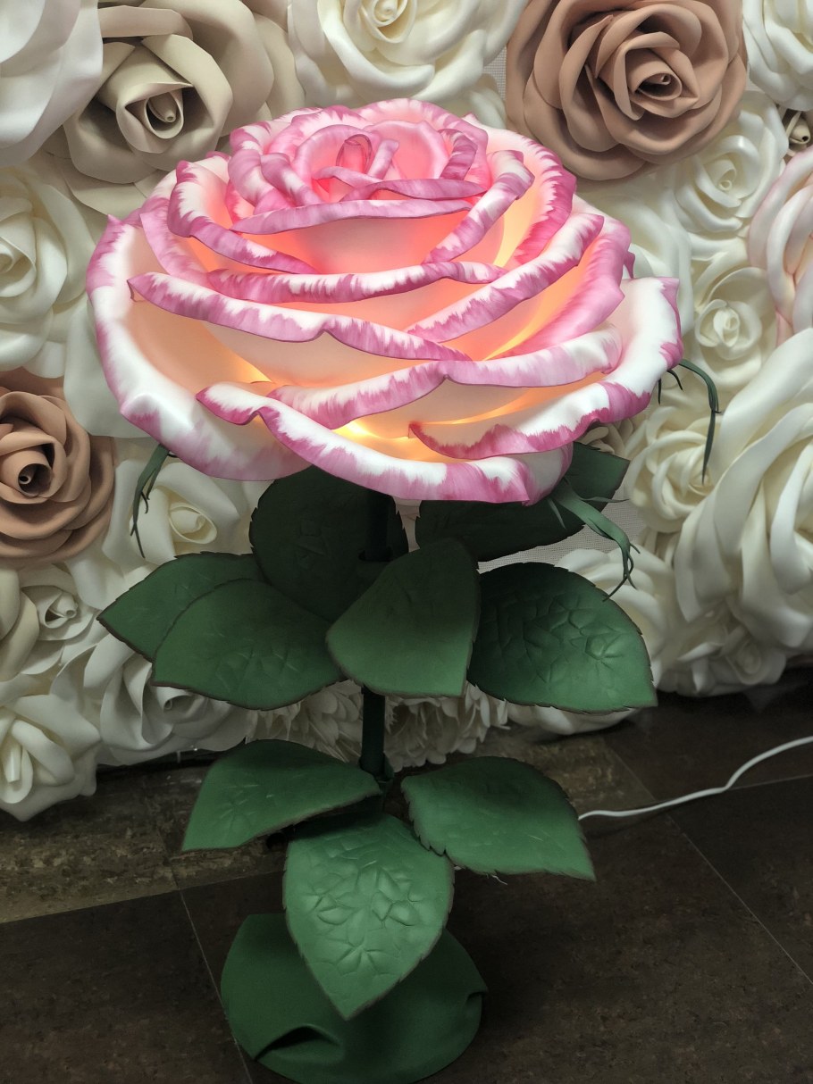 Ночник цветок