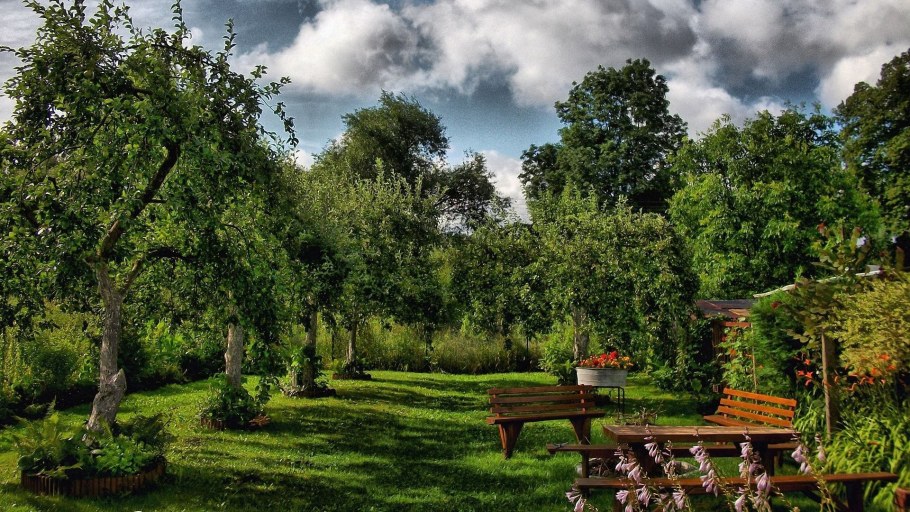 Сельский ландшафт