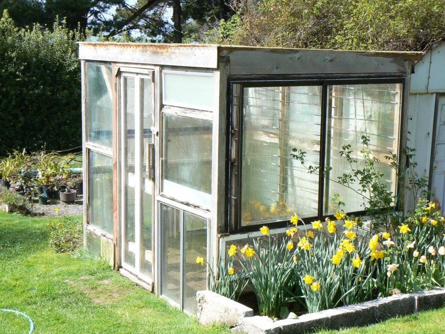 Парник из окон