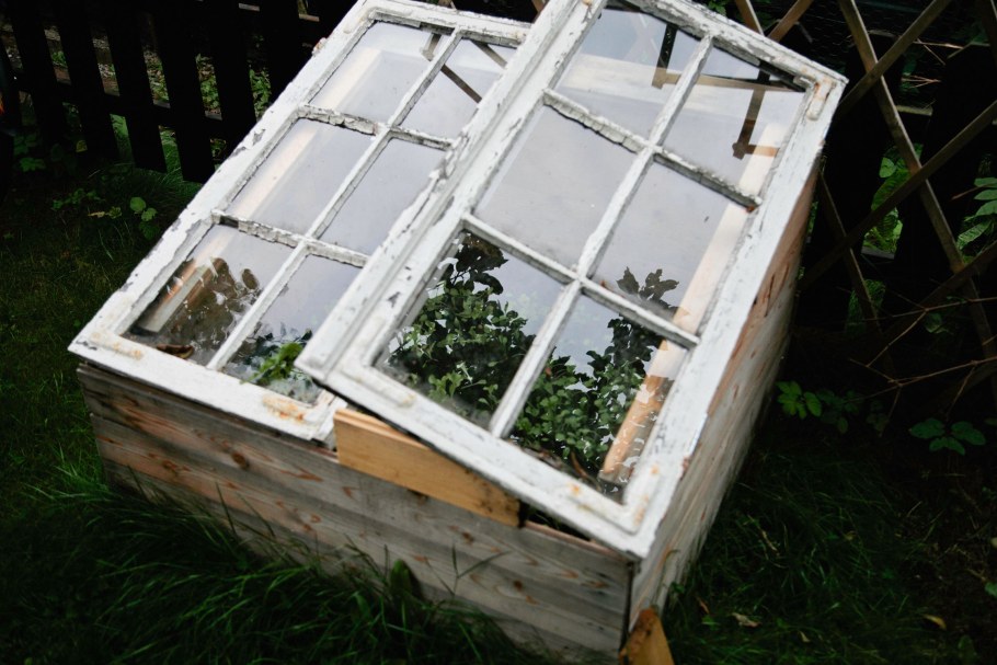Мини парник из оконных рам