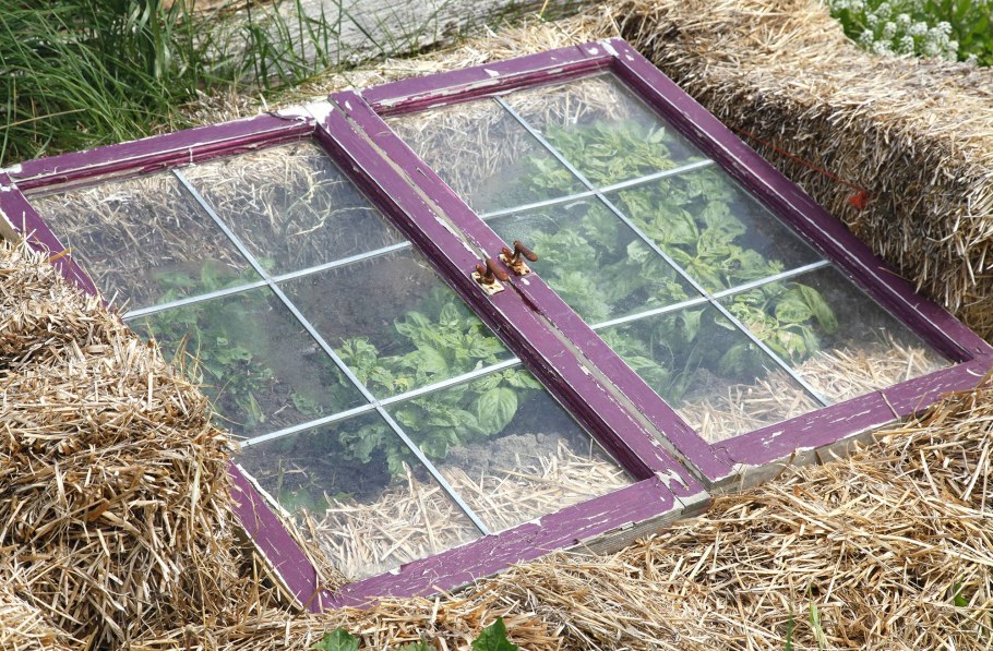 Парник из рамы оконной