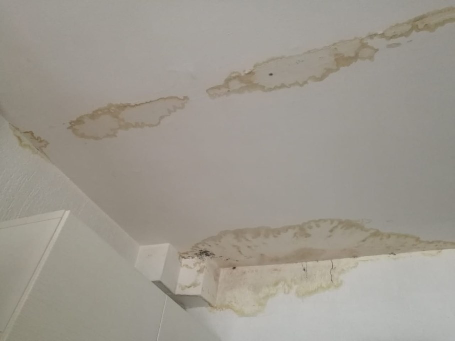 Гипсокартонный потолок после затопления