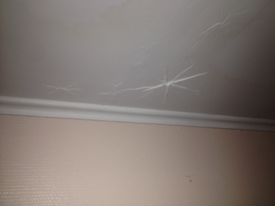 Гипсокартонный потолок после затопления