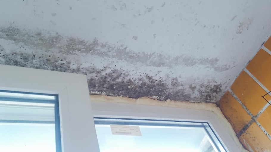 Грунтовка для потолка после протечки