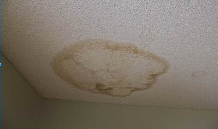 Темные пятна на потолке