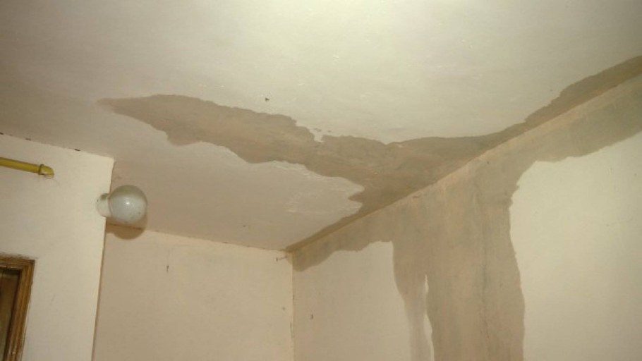 Стены после потопа