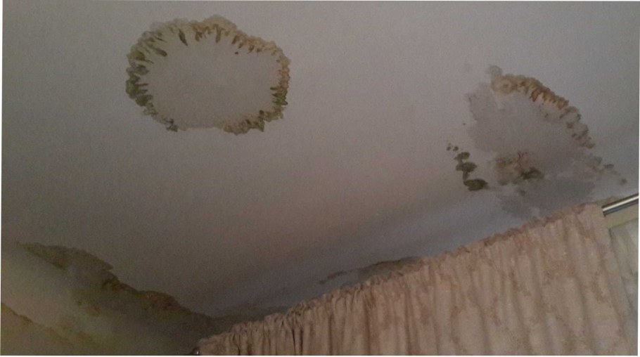 Подтеки на потолке