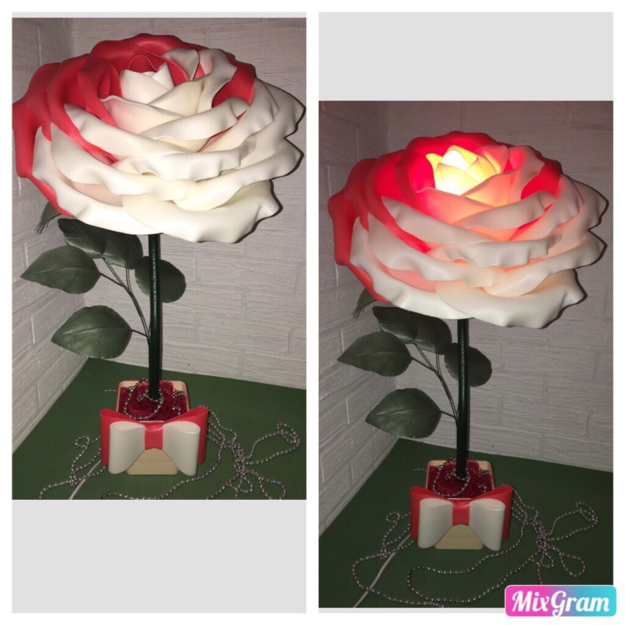 Светильник из натуральной розы