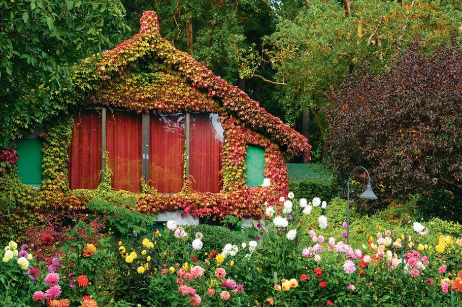 Дом заросший цветами и сад