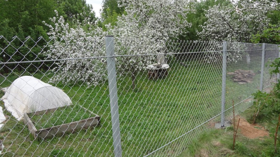 Забор двойной на даче