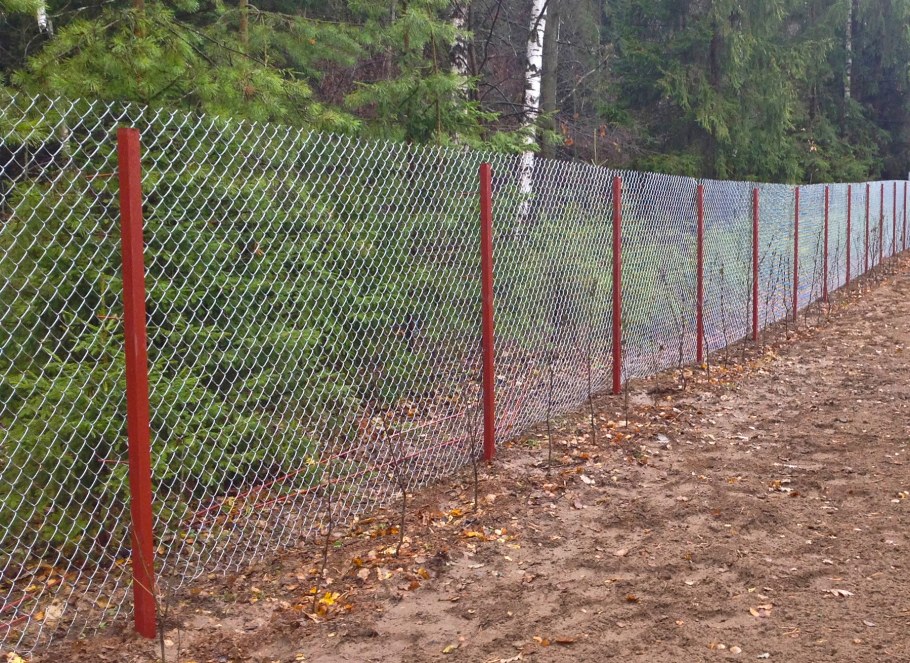 Сетка рабица на даче