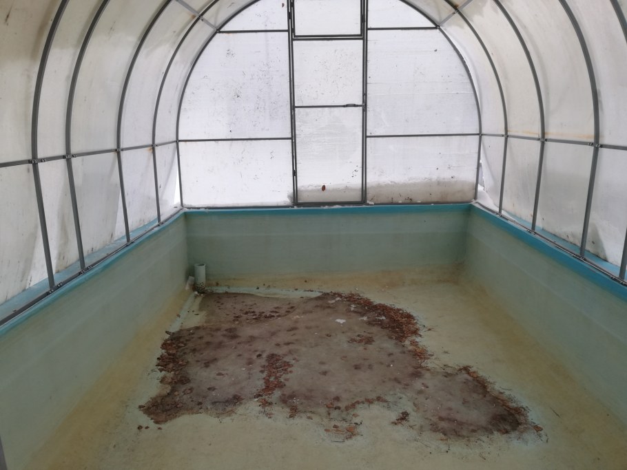 Теплица 4х4 для бассейна