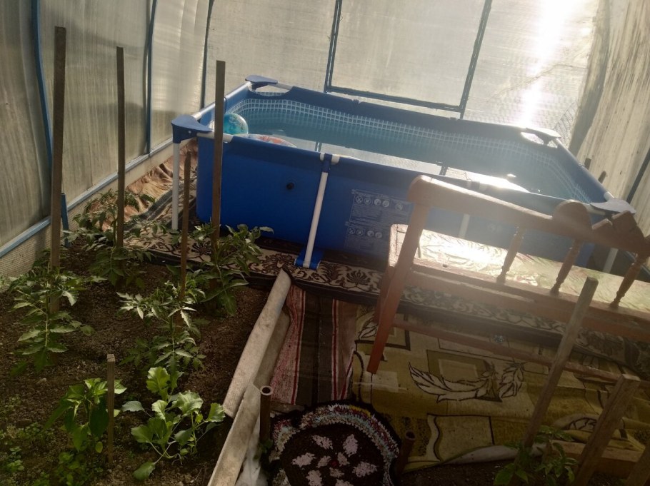 Бассейн в теплице на даче