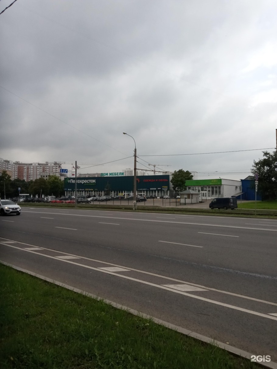 Опалиха Арктическая 31