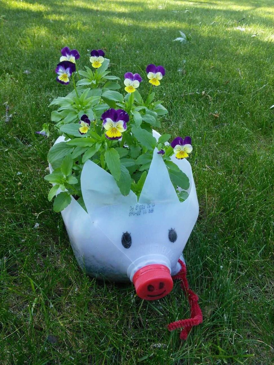 Клумбы из пластиковых бутылок