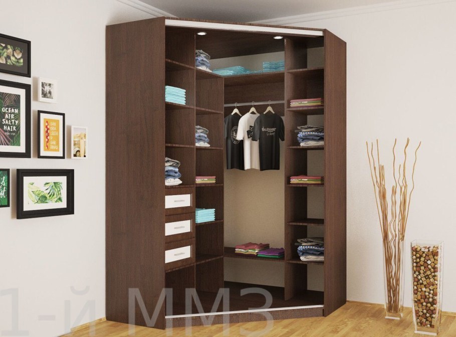 Шкаф-купе маэстро 1700х2200х610