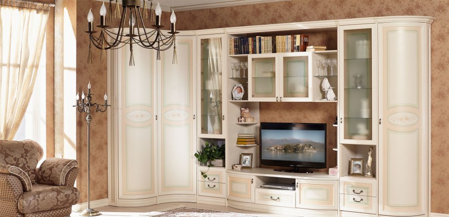 Кливия любимый дом