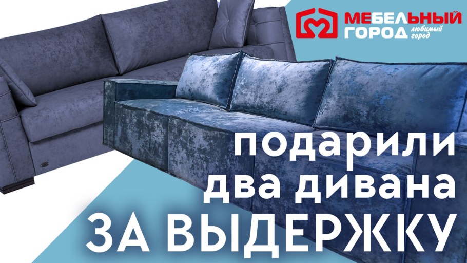 Тюлень на диване