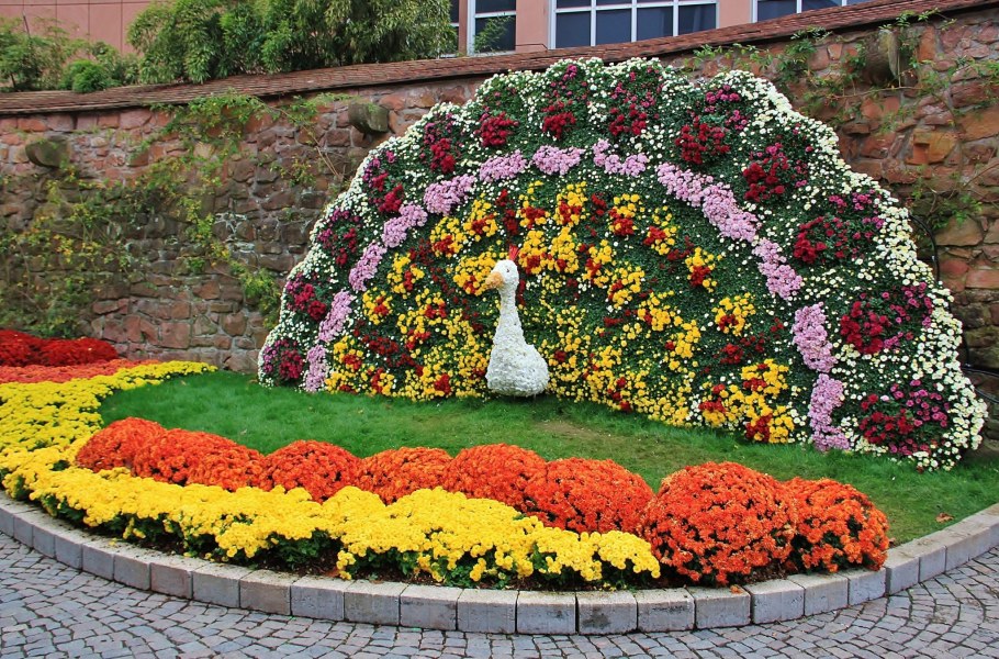 Моноклумба петуния