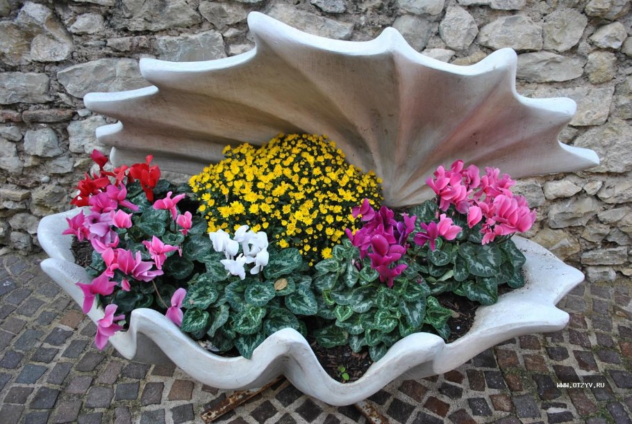 Необычные клумбы для цветов