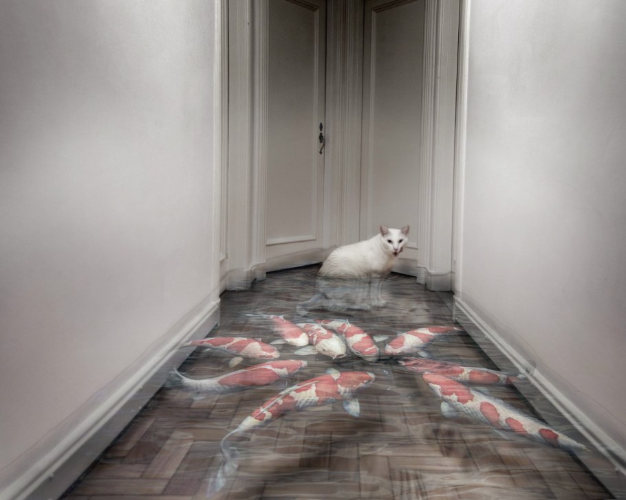 Отделка стены для кота