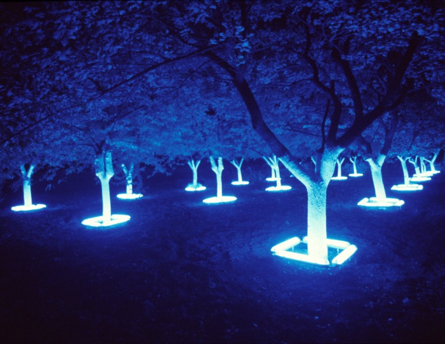 Подсветка стволов деревьев