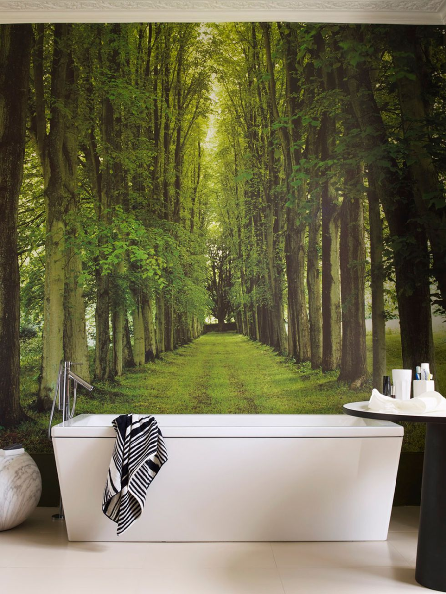 Разрисованные стены в туалете